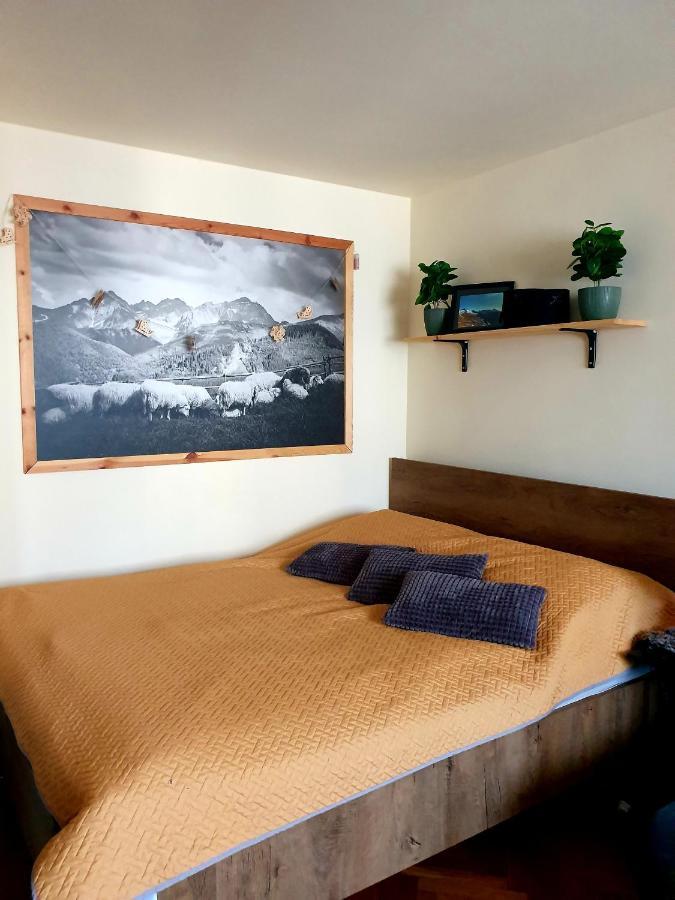 Apartament Izba W Centrum Ζακοπάνε Εξωτερικό φωτογραφία